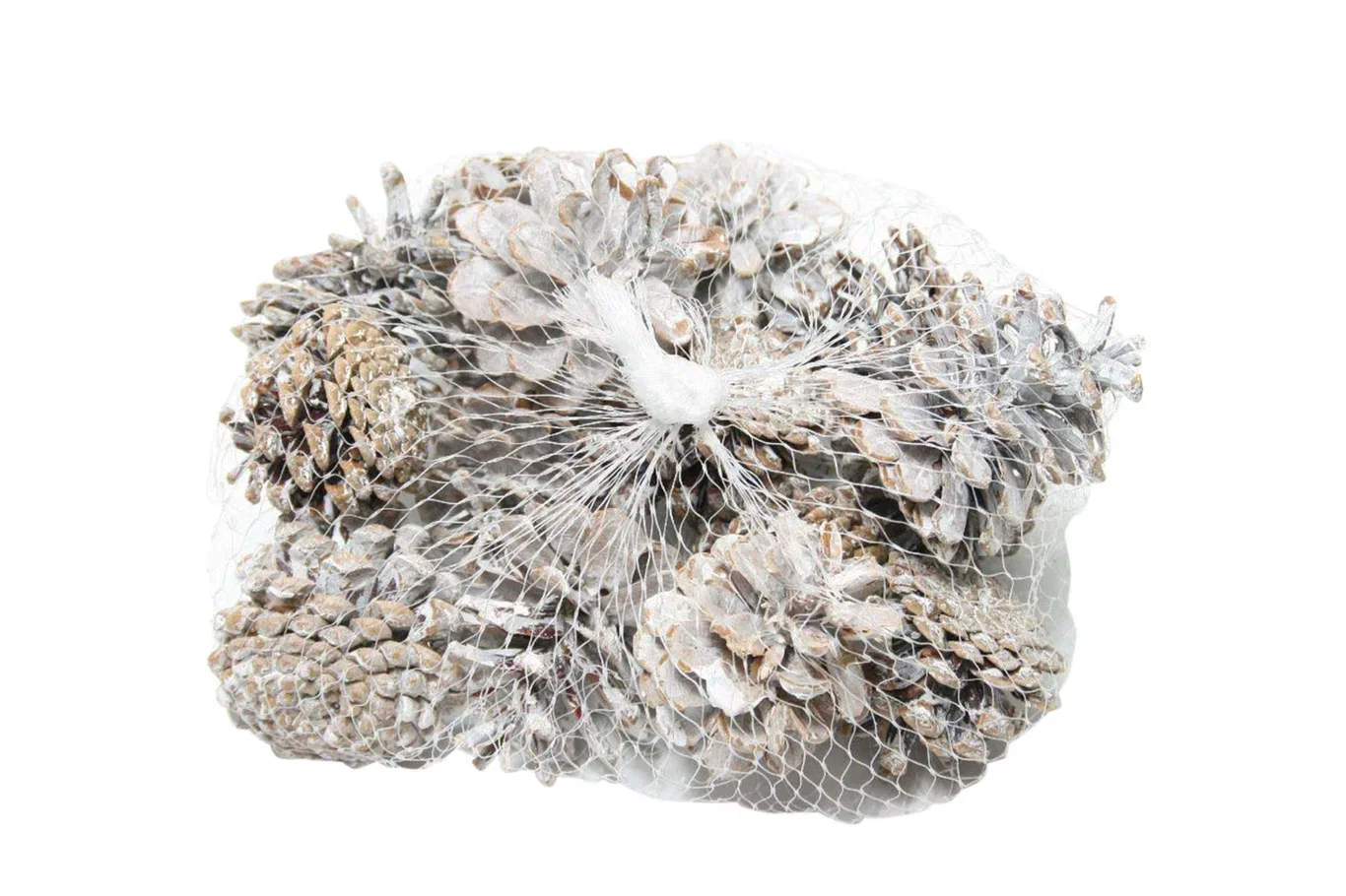 Pinecone 15pc white