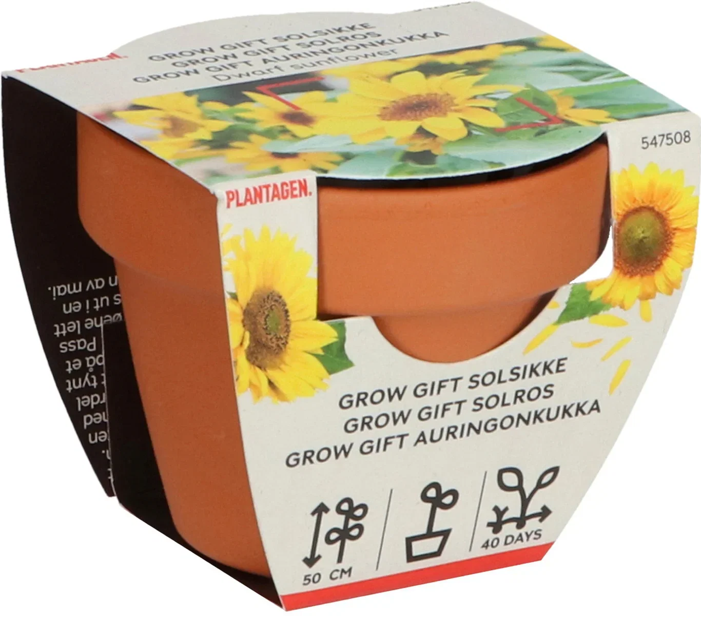 Dyrkesett Solsikker Grow gifts
