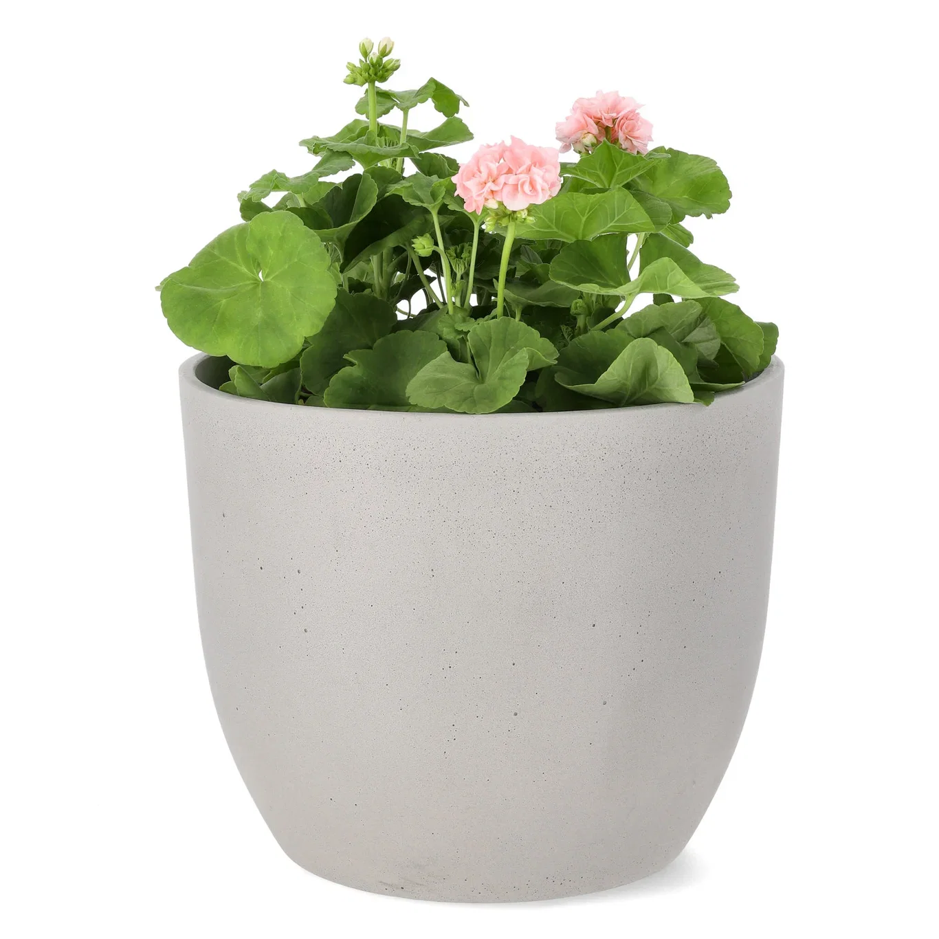 Pel. 'Dr. Ingrid/Mårbacka' 27 cm