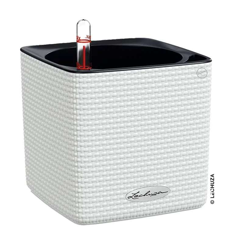 Selfwatering Pot Cube