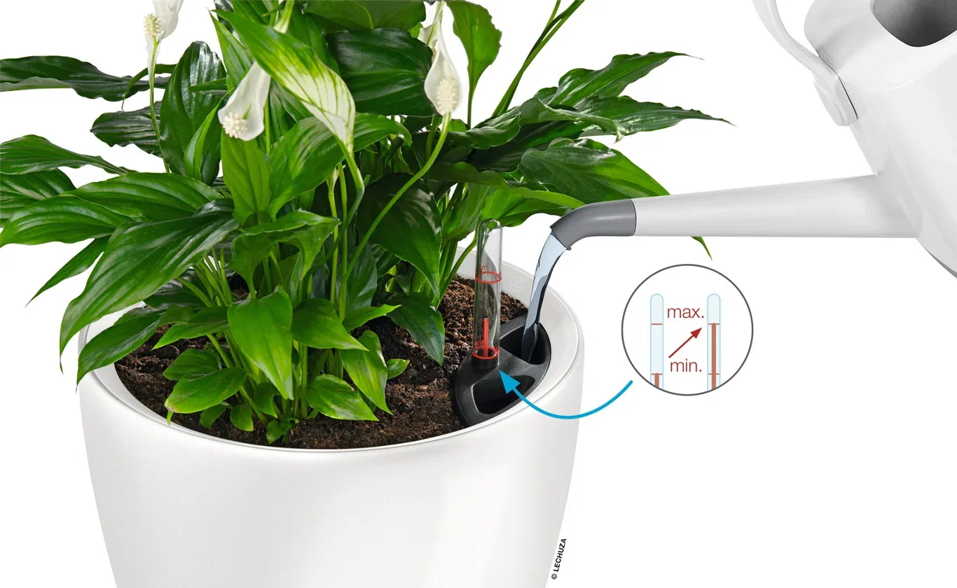 Selfwatering Pot Classico
