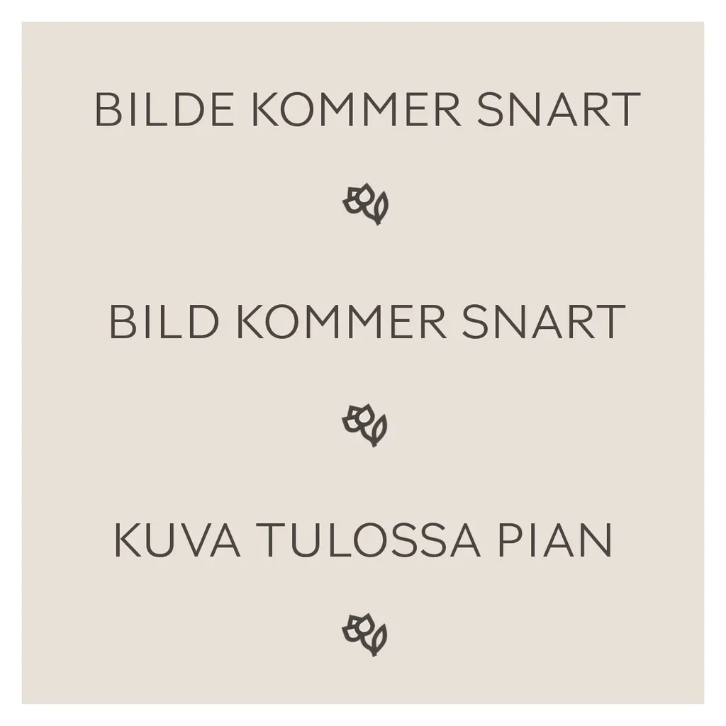 Blågran 'Super Blue'