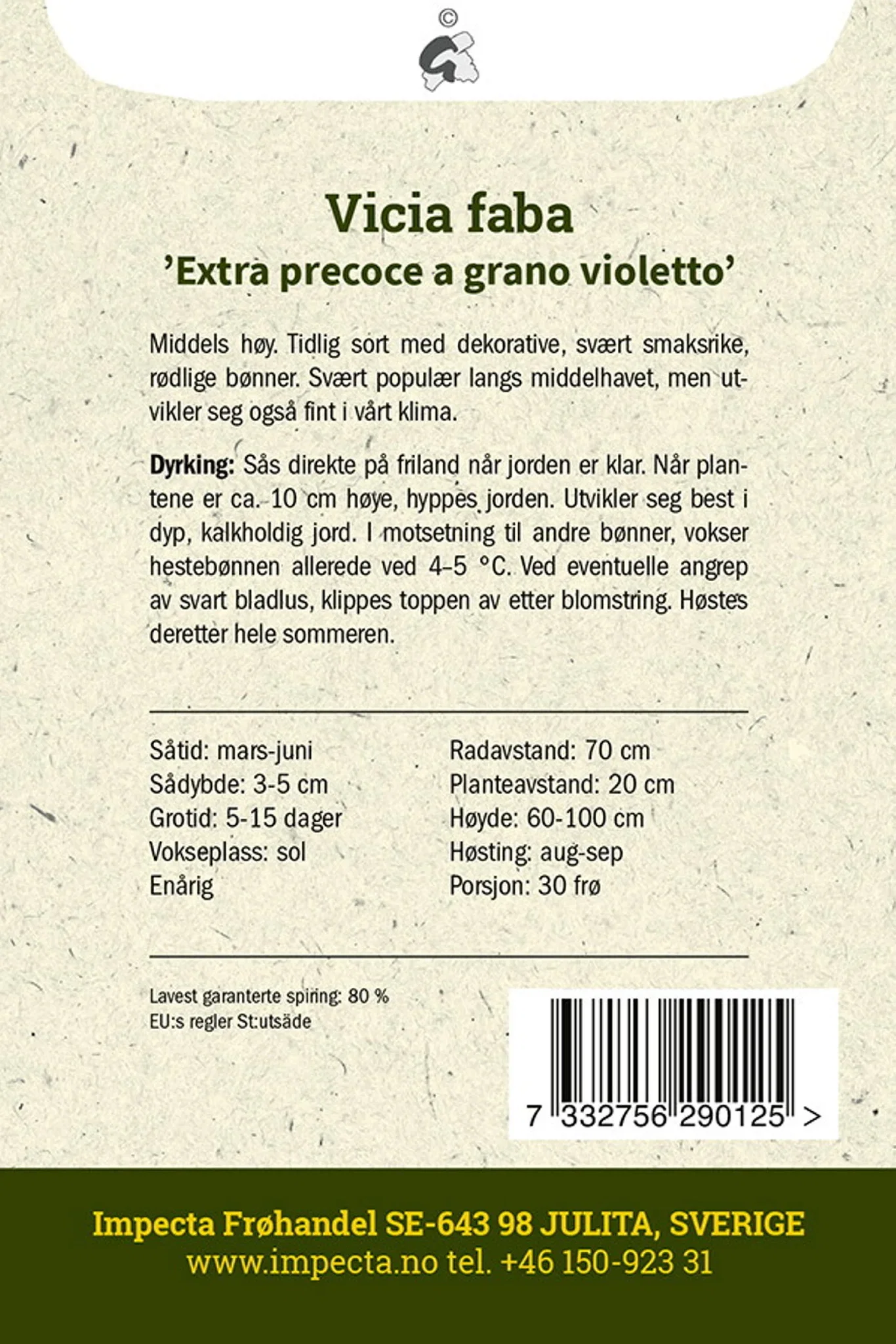 Hestebønne 'Extra precoce a grano violetto'