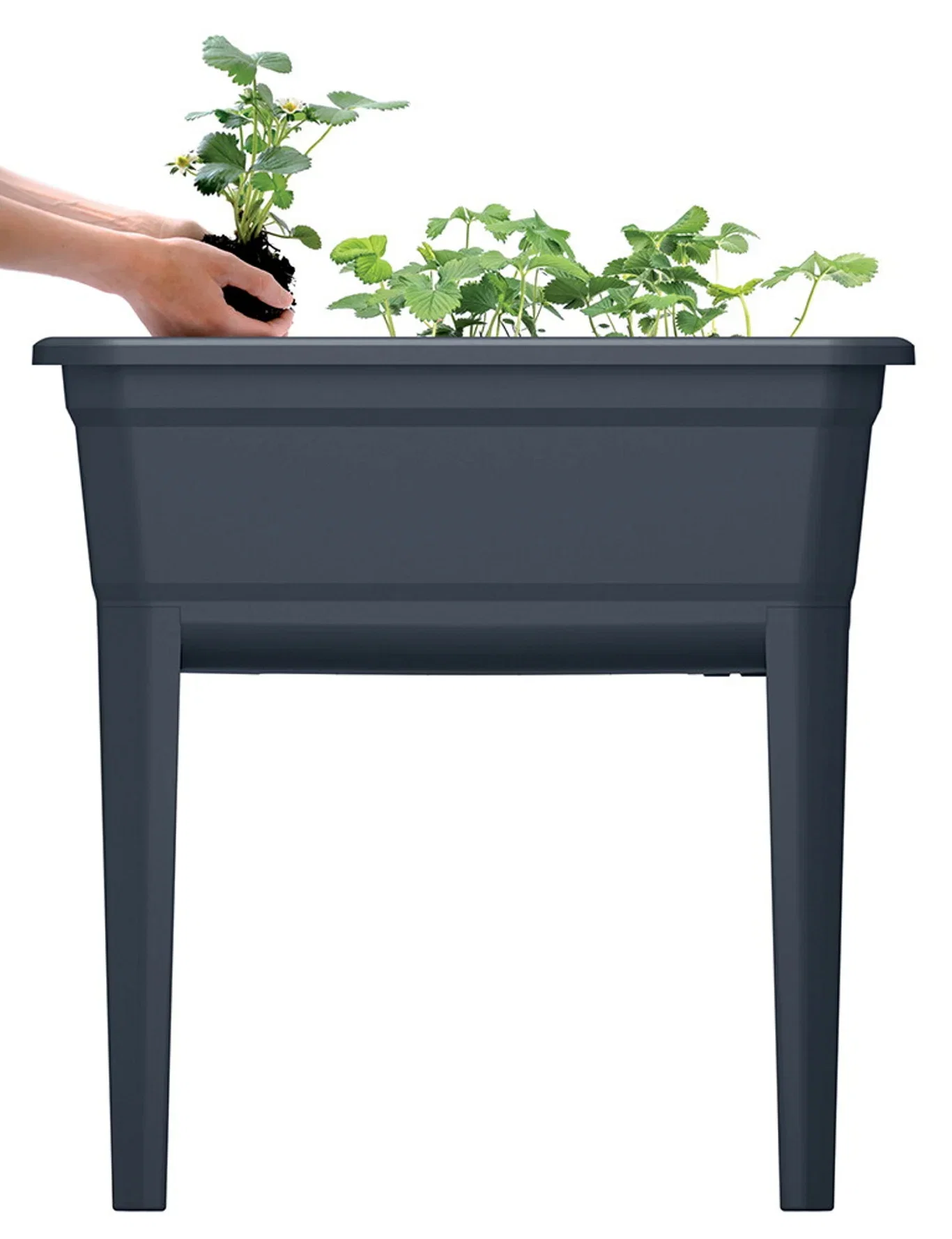 Respana Grow Table Ecoline