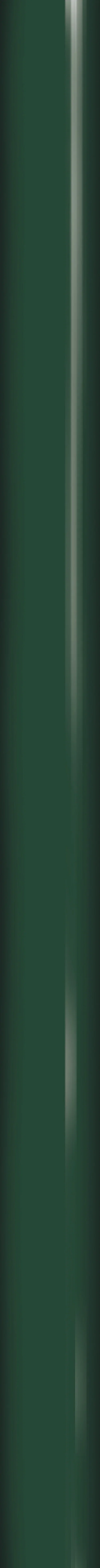 Kraft gift wrap 5m green