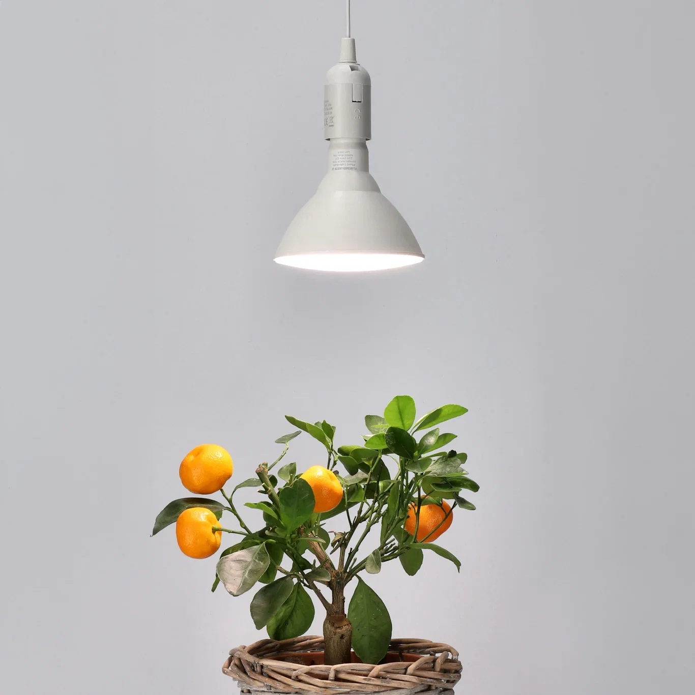 Albatross Grow Light Winter 15W, E27