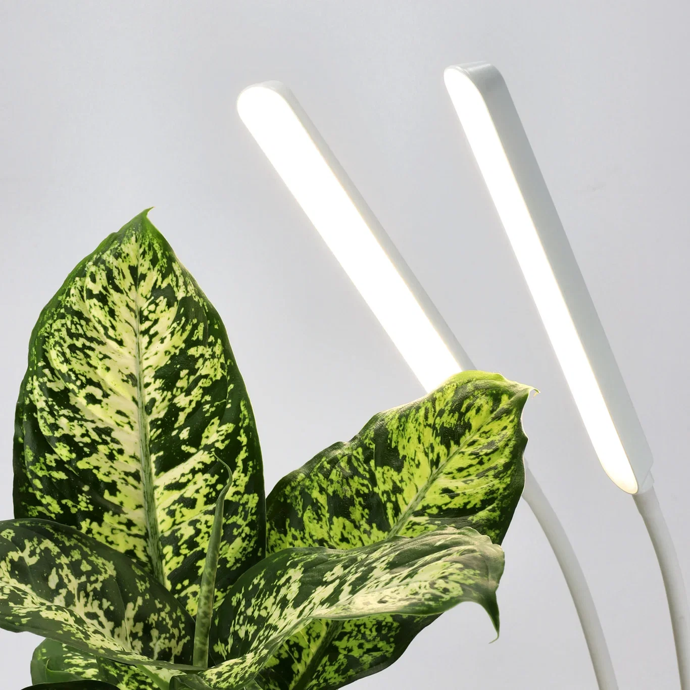 Apollo Led Light 16W White