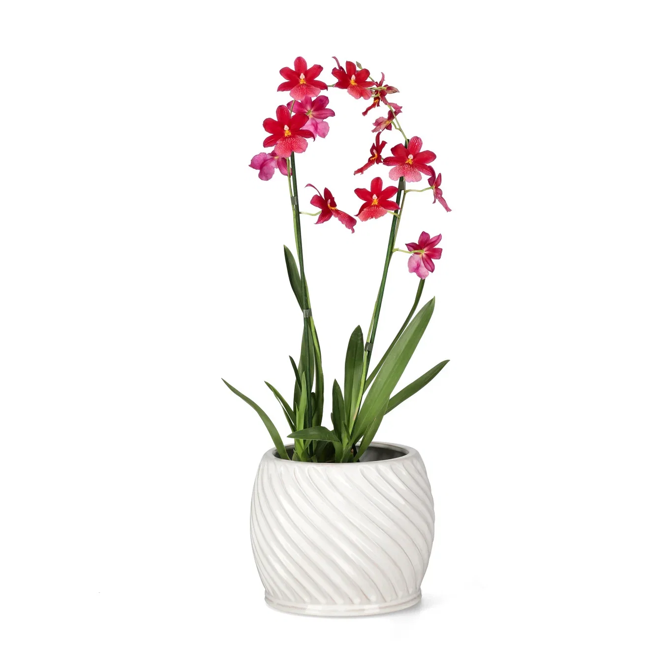 Twisted pot D 26 white