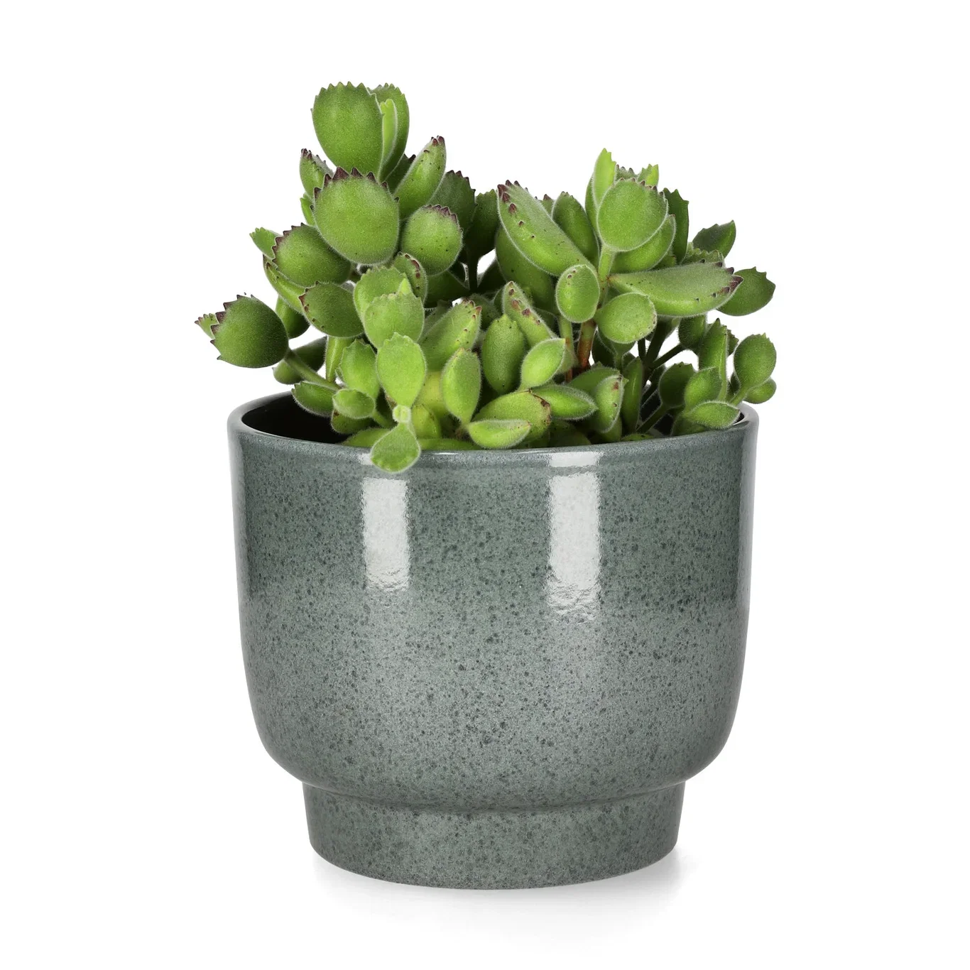 Eda pot D15 green