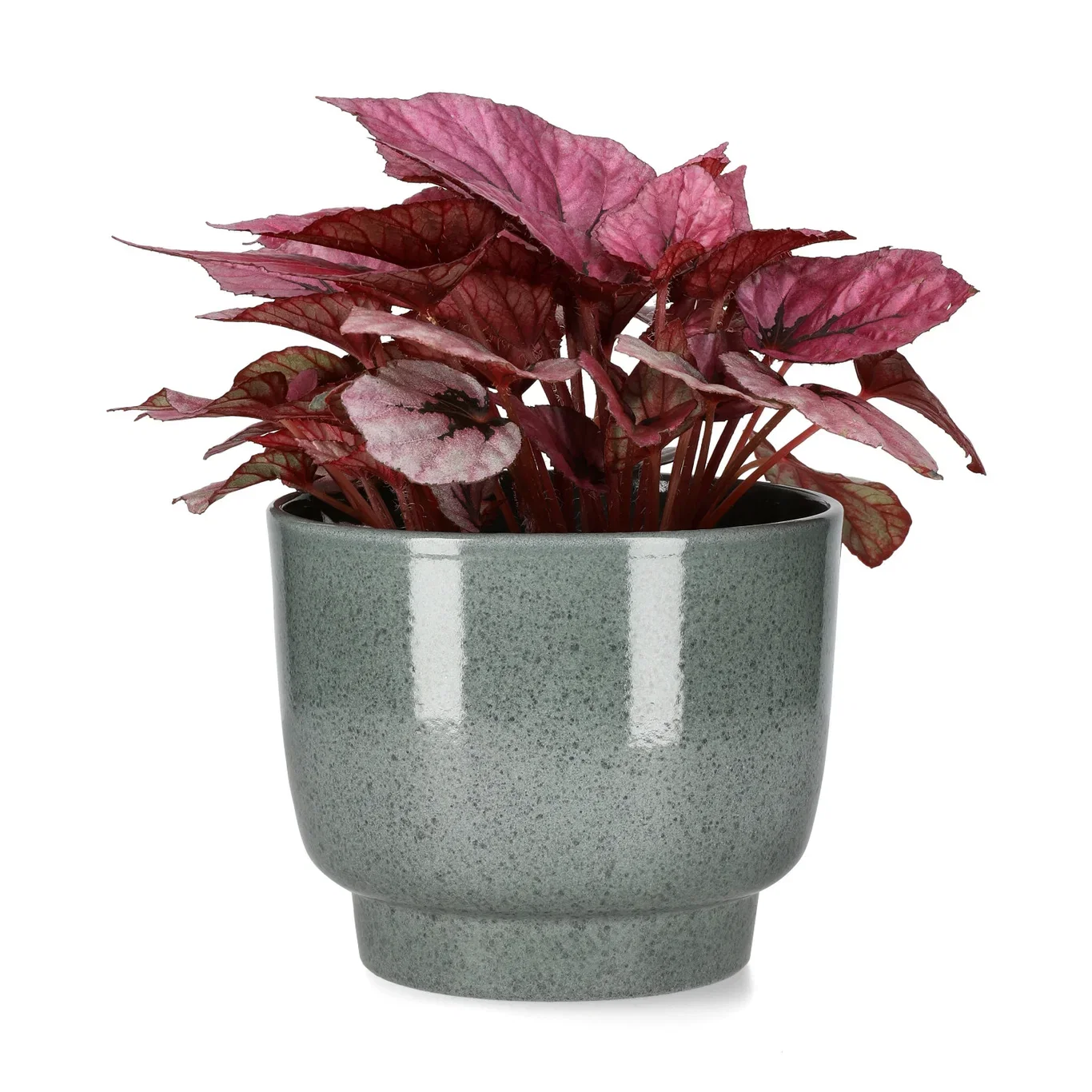 Eda pot D15 green