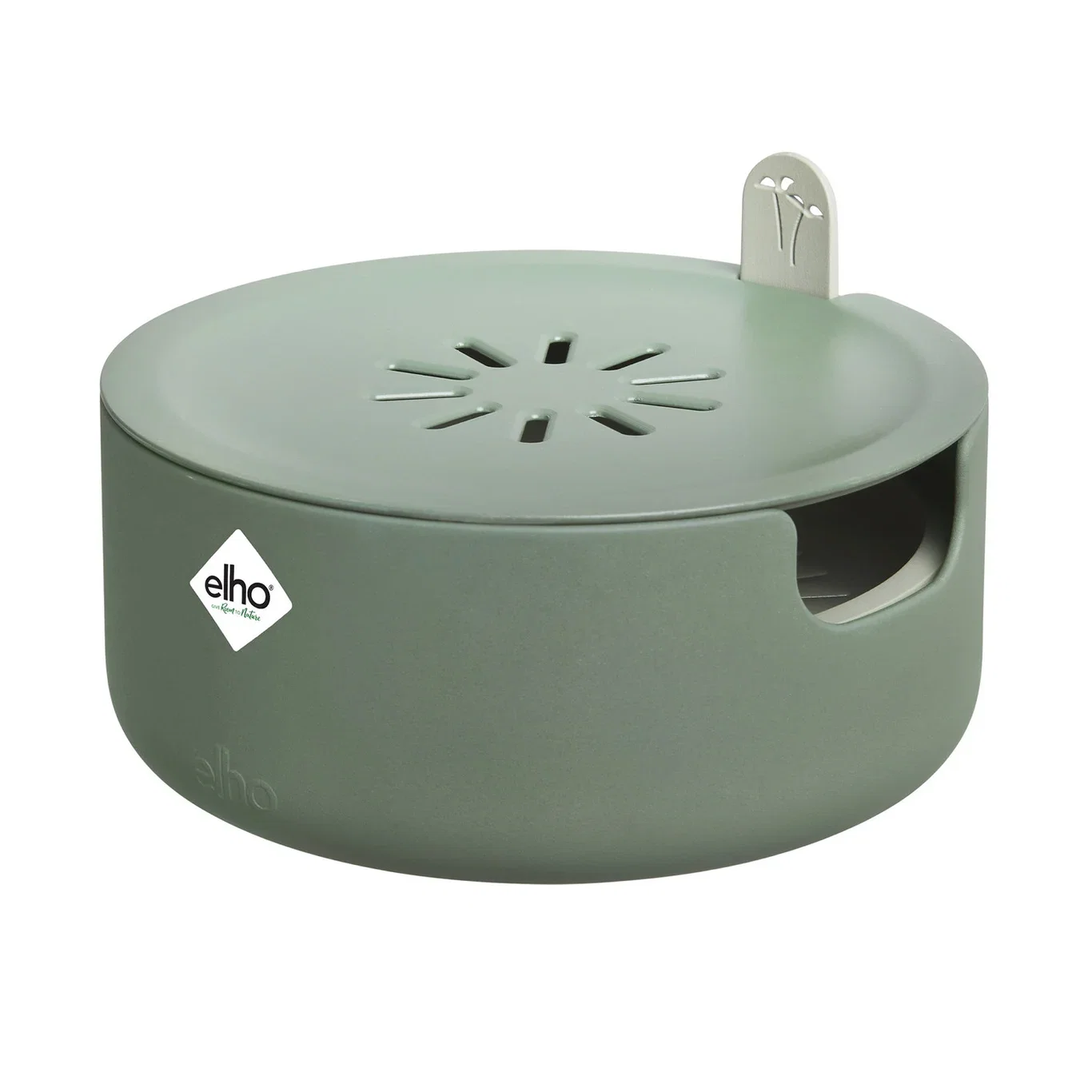 Microgreens Bowl Magic