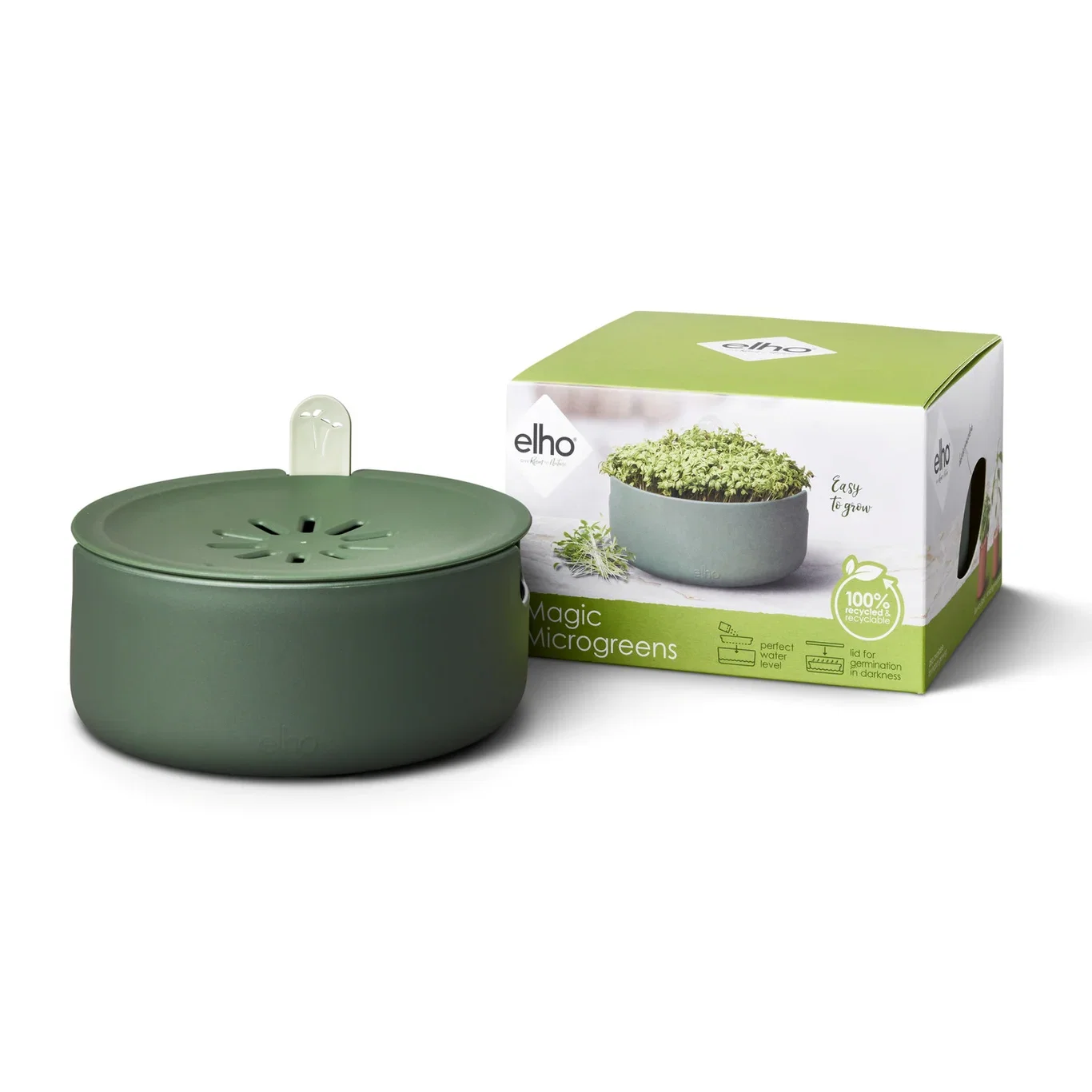 Microgreens Bowl Magic