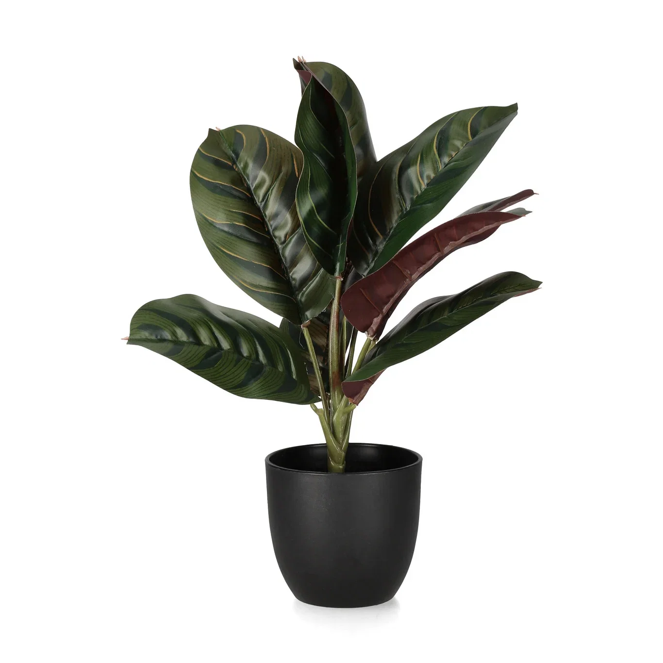 Green plant mix potted H27/4 ass green