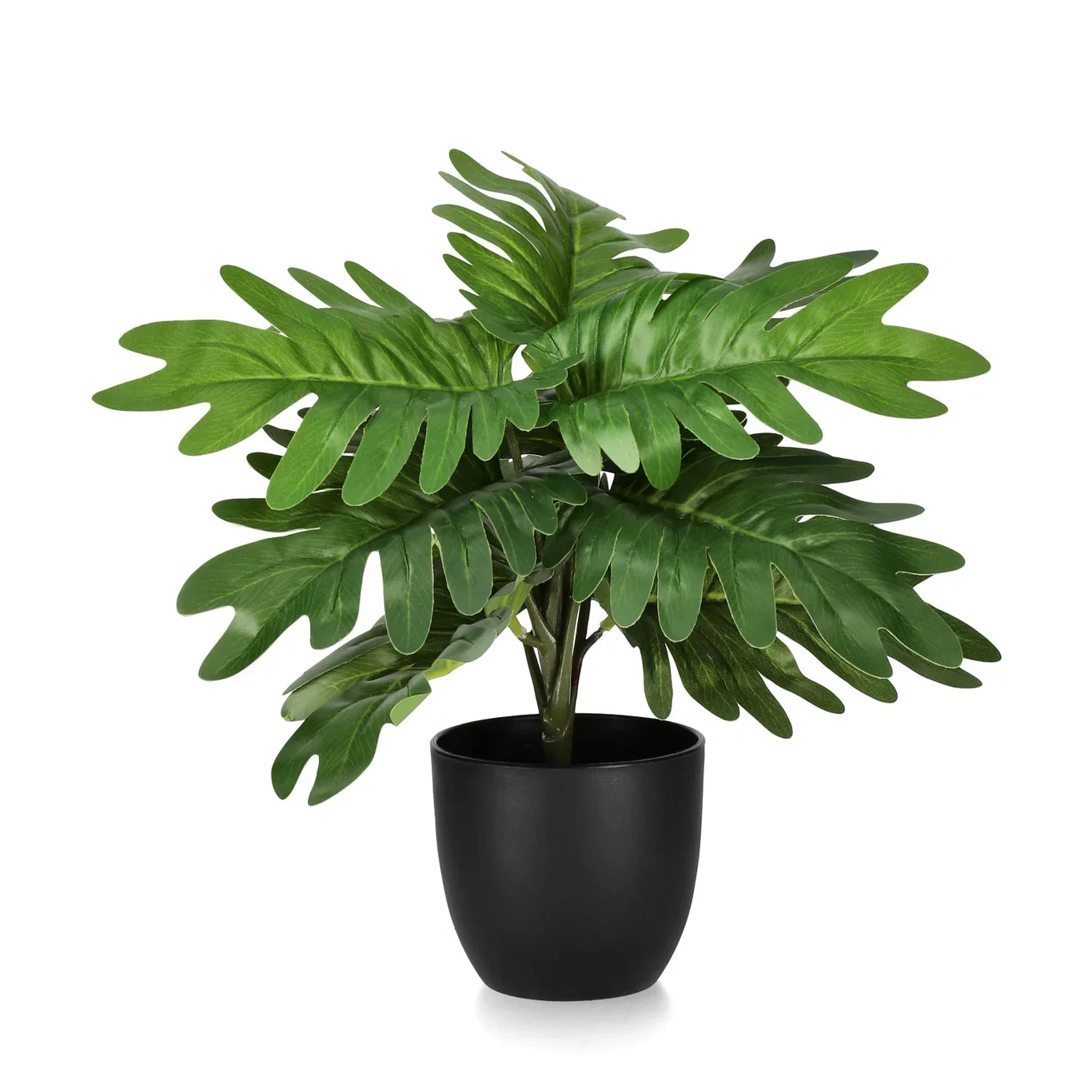 Green plant mix potted H27/4 ass green