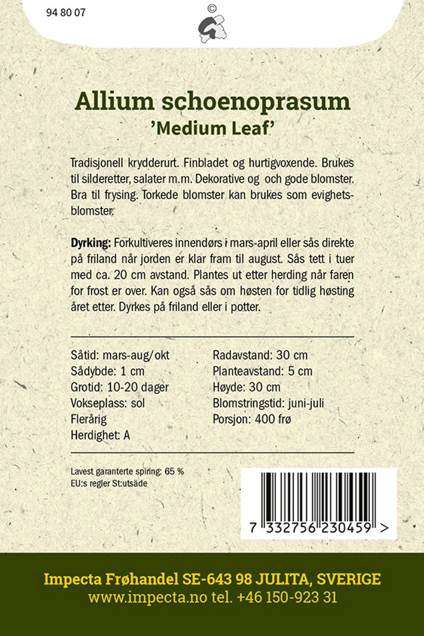 Gressløk 'Medium Leaf'