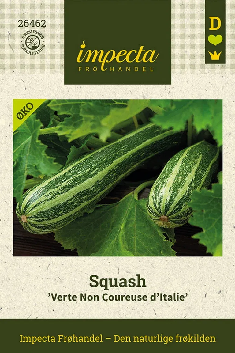 Squash 'Verte Non Coureuse d'Italie'