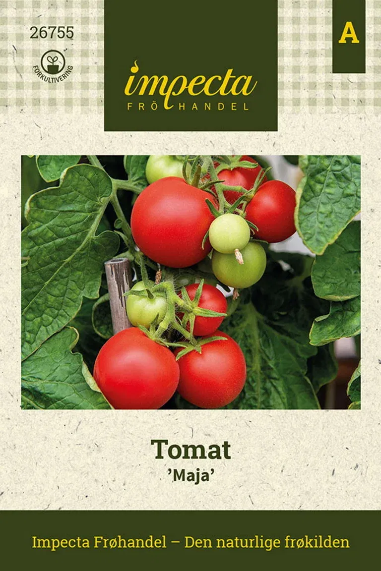 Tomat 'Maja'