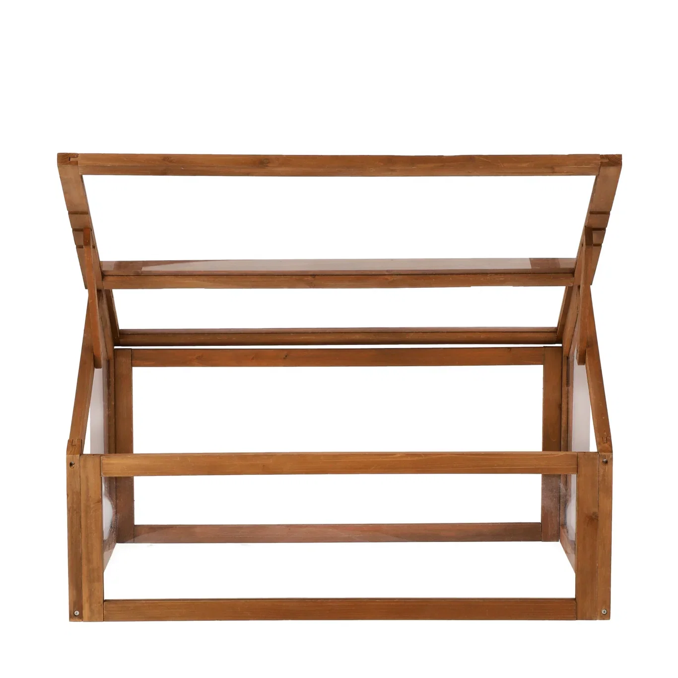 Ester Greenhouse 80*60  2024