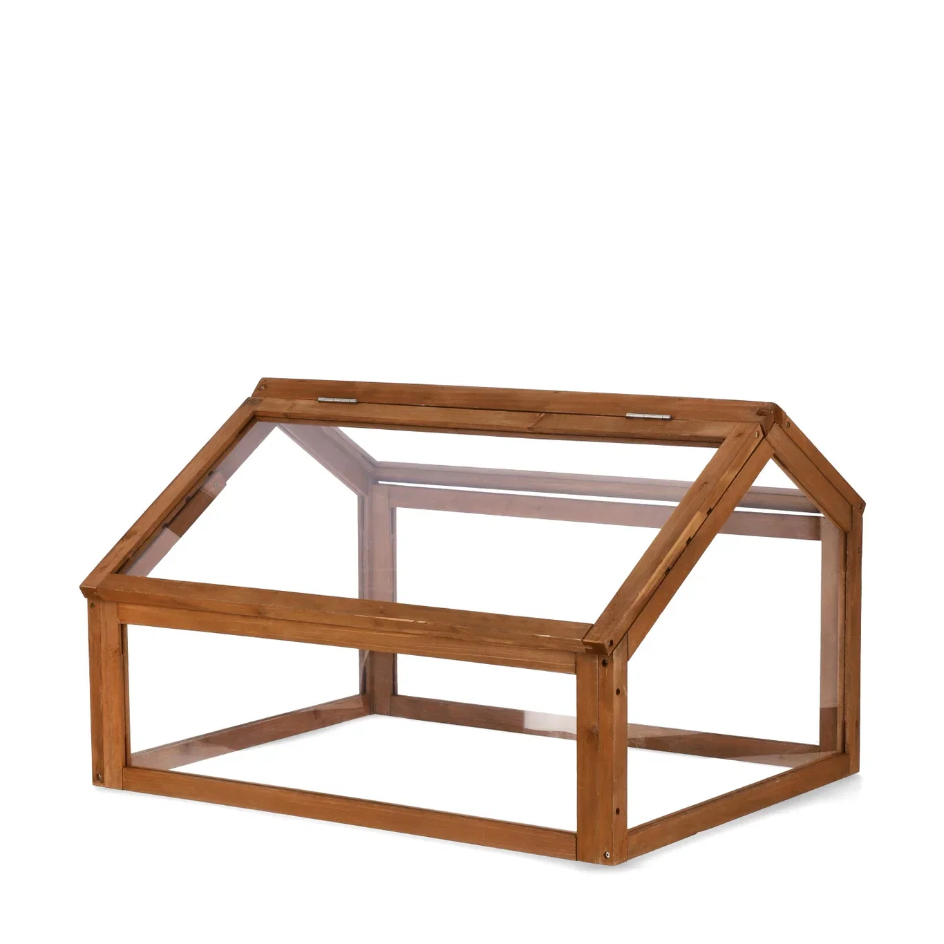 Ester Greenhouse 80*60  2024