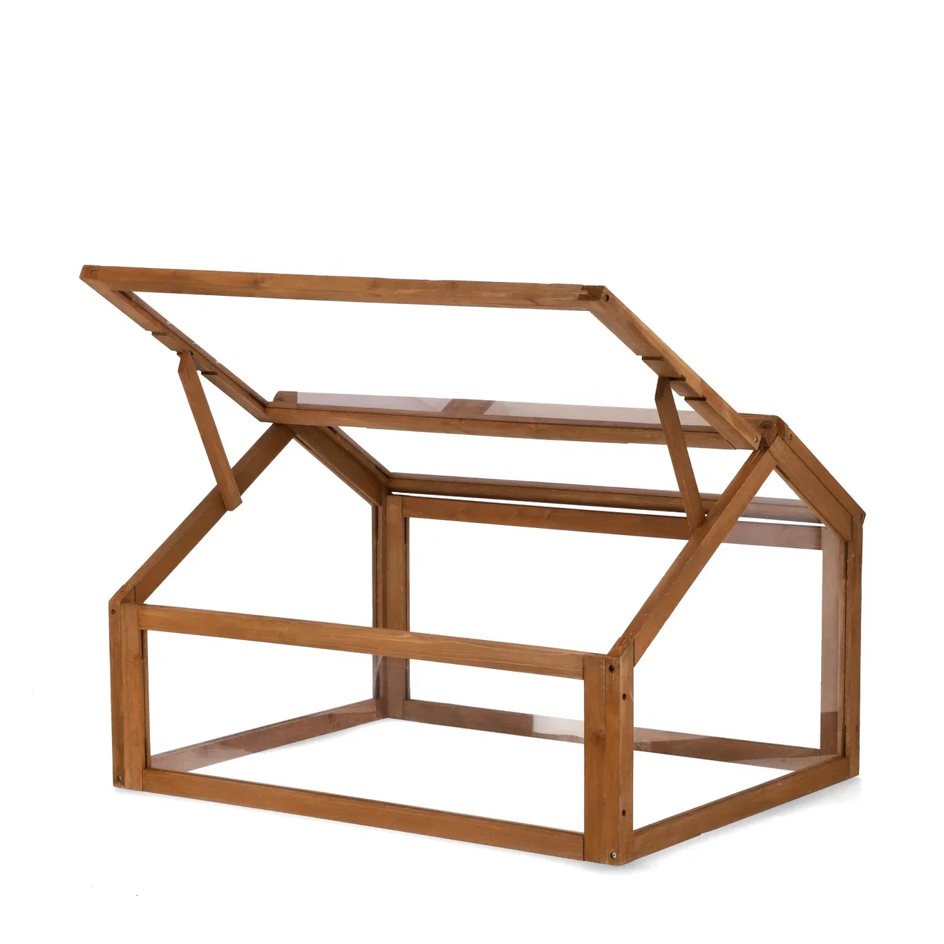 Ester Greenhouse 80*60  2024