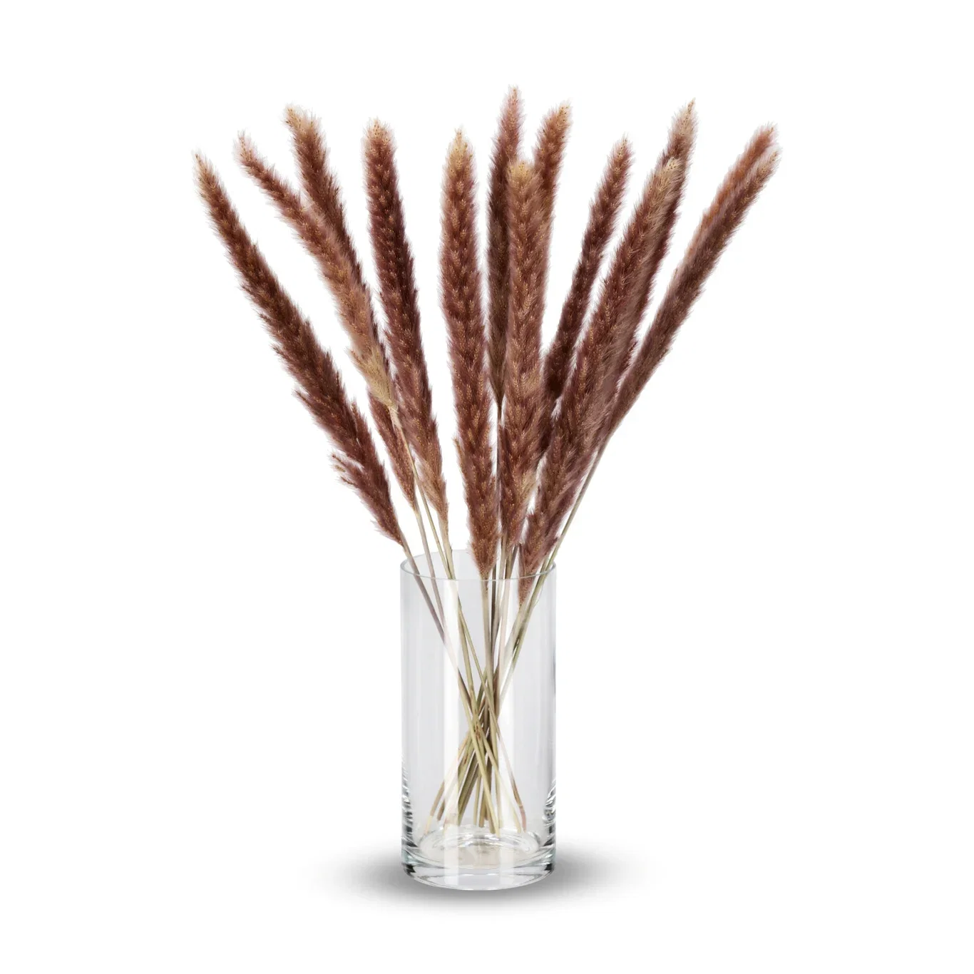 Fluffy Pampas Naturel