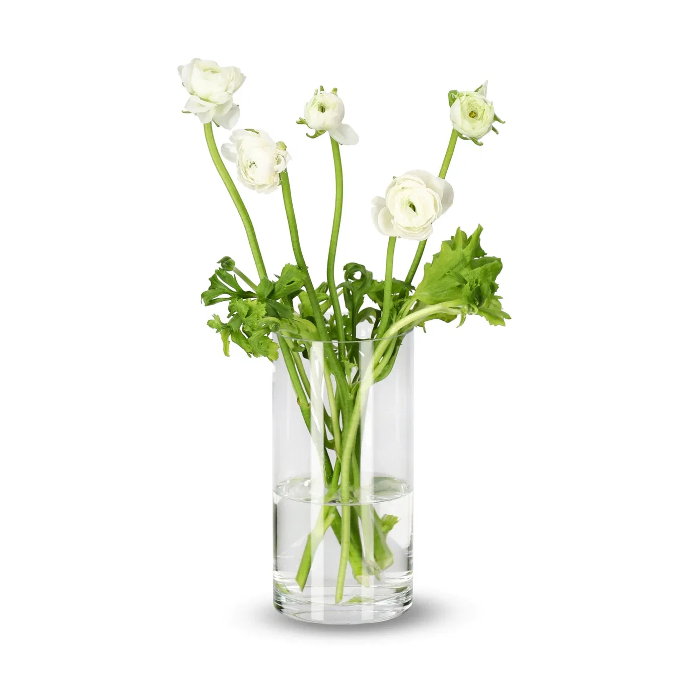 Ranonkel mix 40cm 5pk