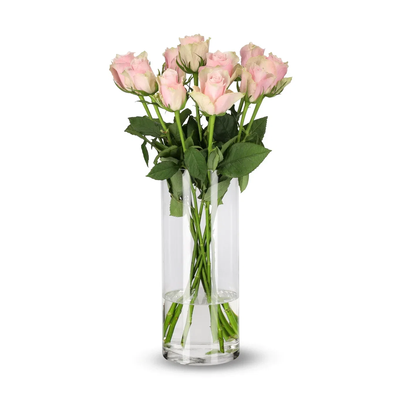 Rozen mix 50cm 10pk YR