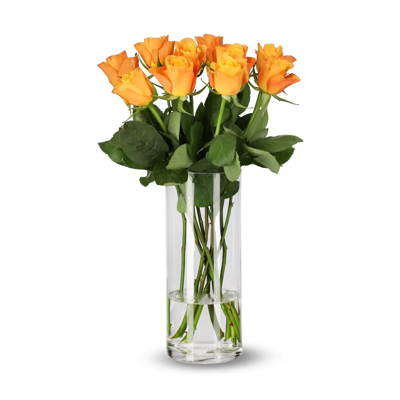 Rozen mix 50cm 10pk YR