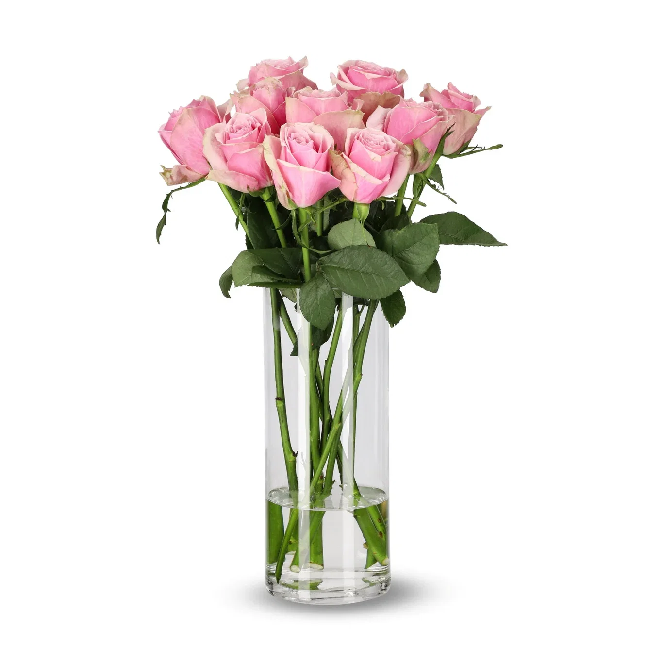 Rozen mix 50cm 10pk YR