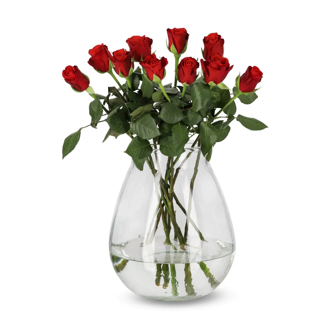 Roses Premium Red 50cm YR