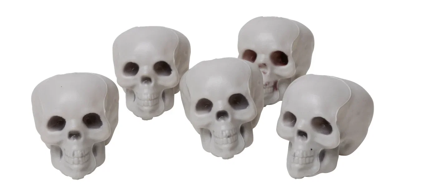 Skulls 5pcs offwhite