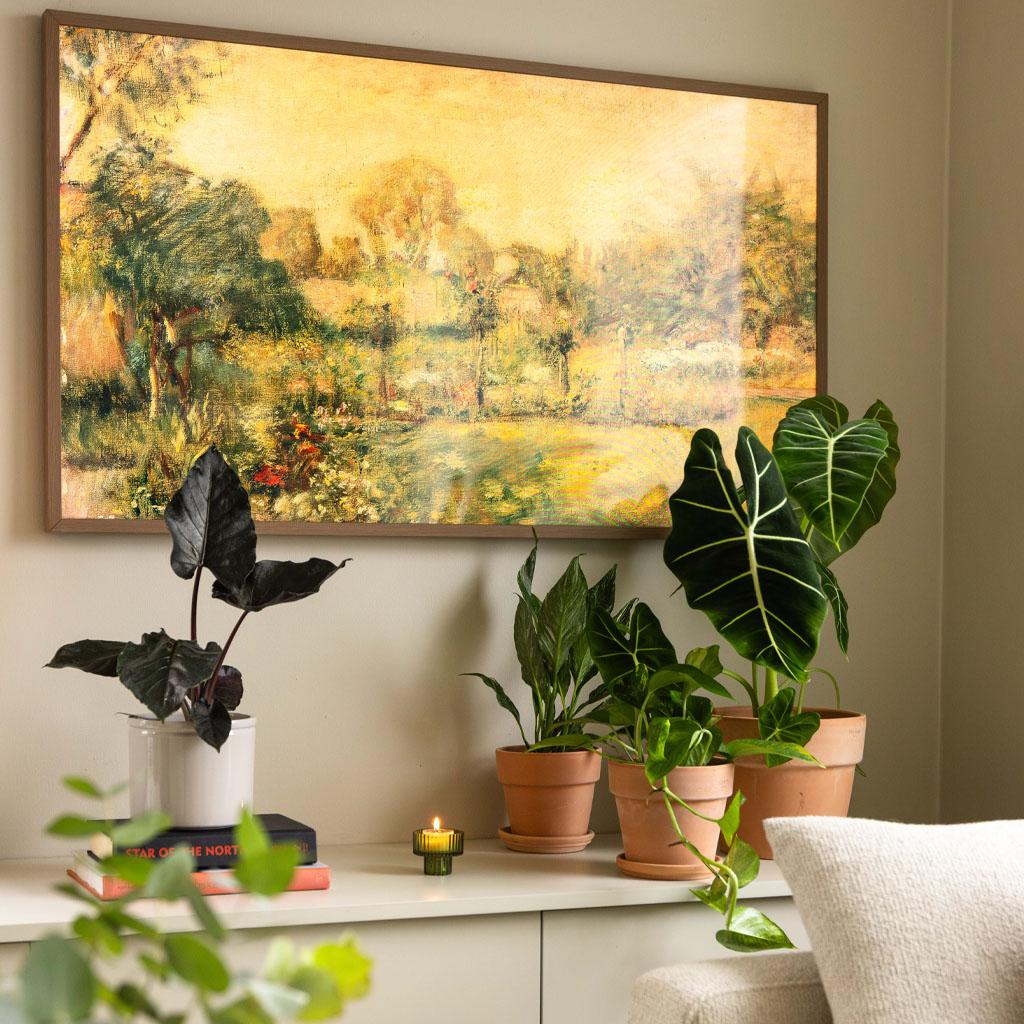 Terracotta pots in every size and shape