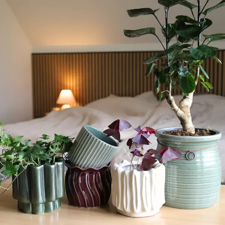 Here are the pot trends for 2025