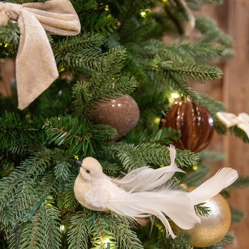 This is an image illustration of 🪶