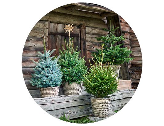 Image of Christmas lights 40%