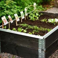 Planting beds