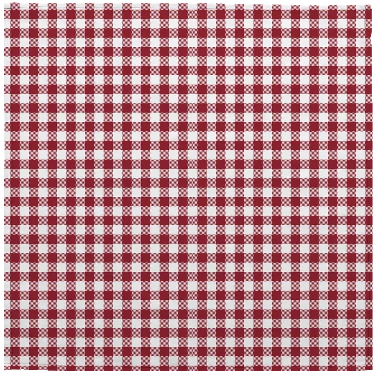K&C Napkin Red Small Checkered 2PK