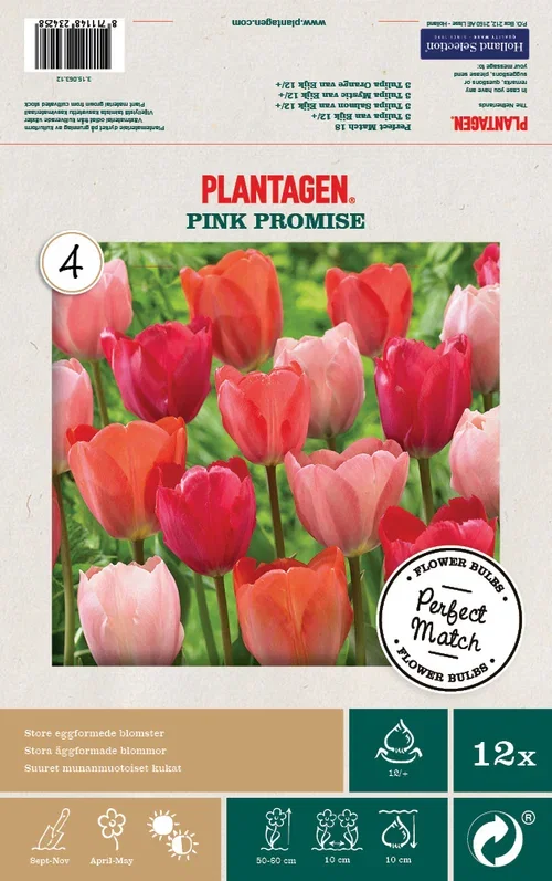 Tulip Mix Pink Promise - 12 bulbs
