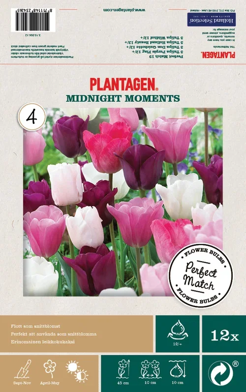 Tulip Mix Midnight Moments - 12 bulbs