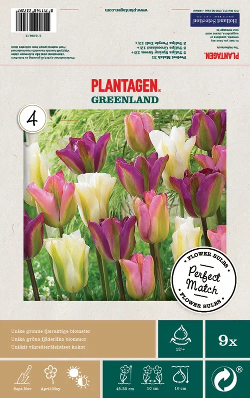 Tulip Mix Greenland Blend - 9 bulbs