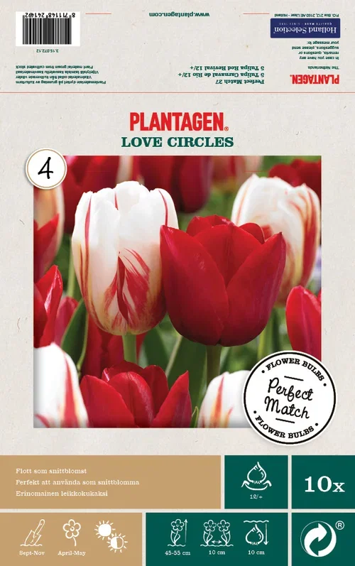 Tulip Mix Love Circles - 10 bulbs