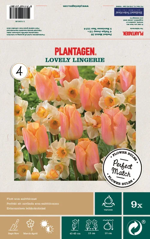 Tulip/Narcissus Mix Lovely Lingerie - 9 bulbs