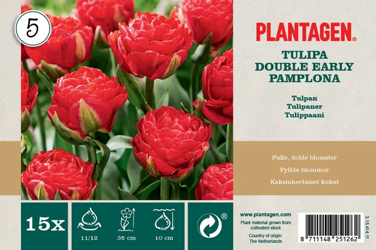 Tulip Double Early Pamplona 15 bulbs