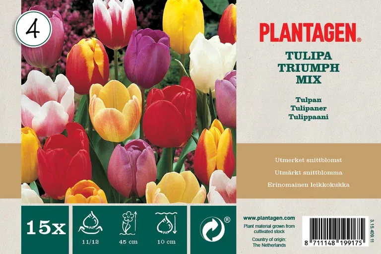 Tulip Mix Triumph - 15 bulbs