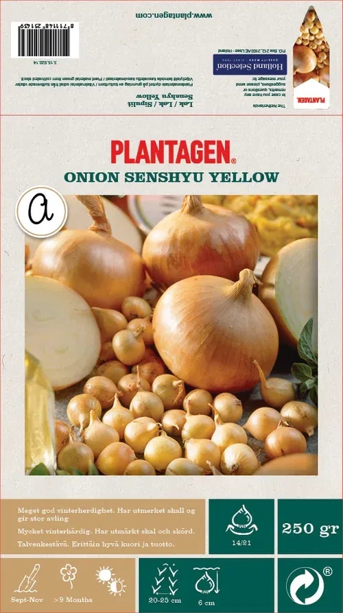 Onion Senshu Yellow - 250gr
