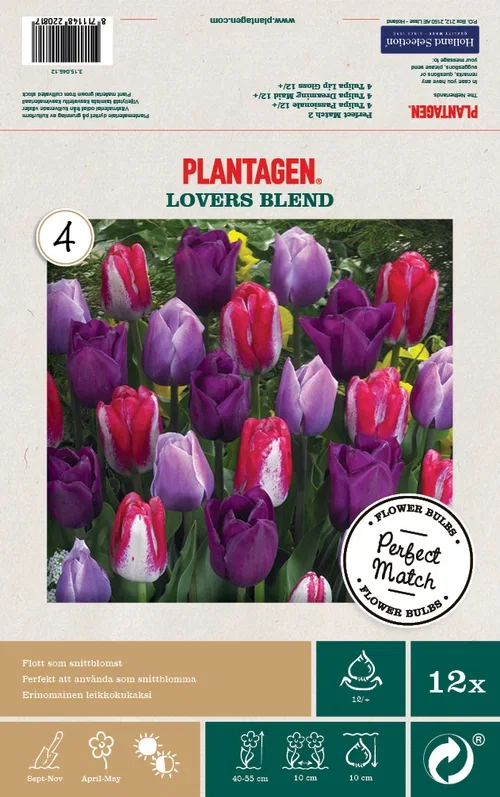 Perfect Match 2 Tulipa 12/  co