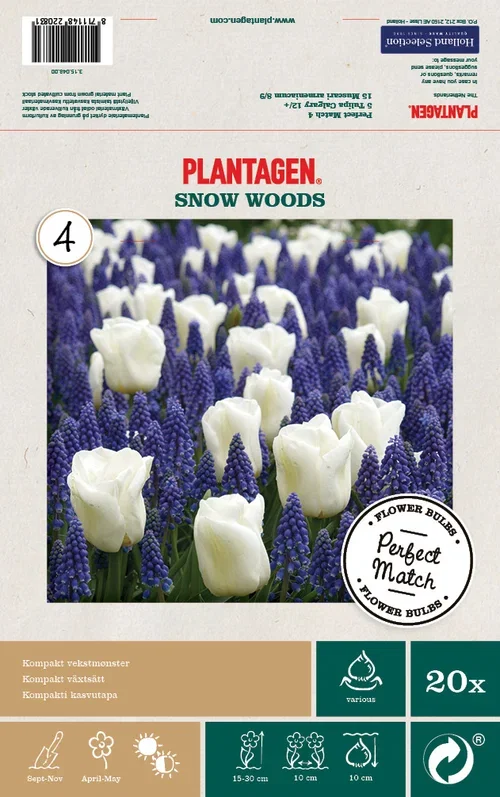 Mix Tulip/Muscari - 20 bulbs