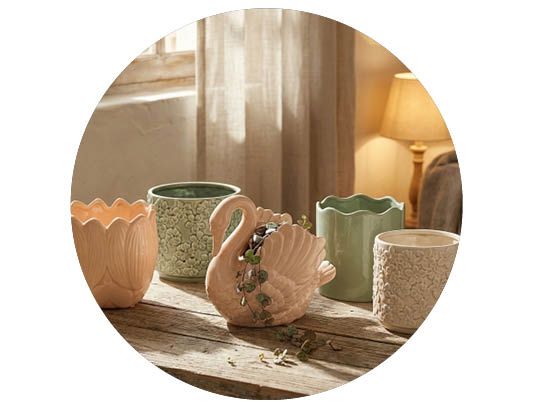 Image of Wintergreen