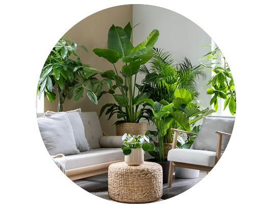 Image of Christmas lights 40%