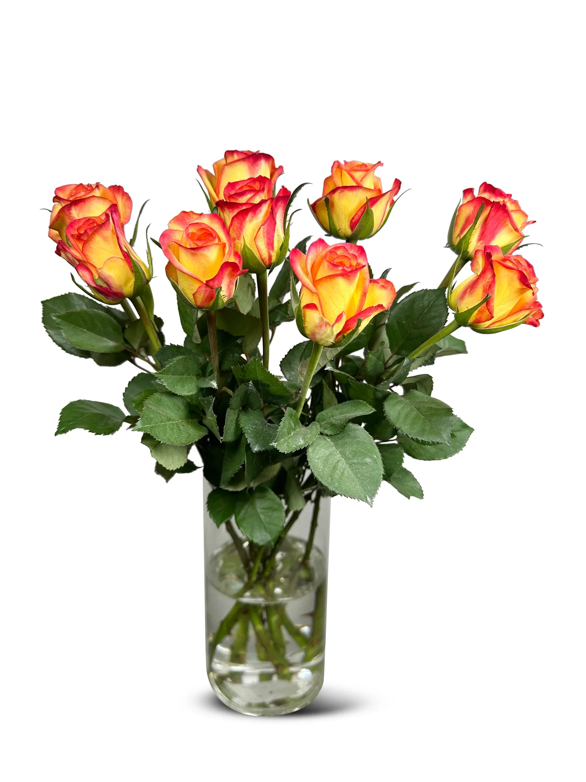 Roses mix 40cm 9pk